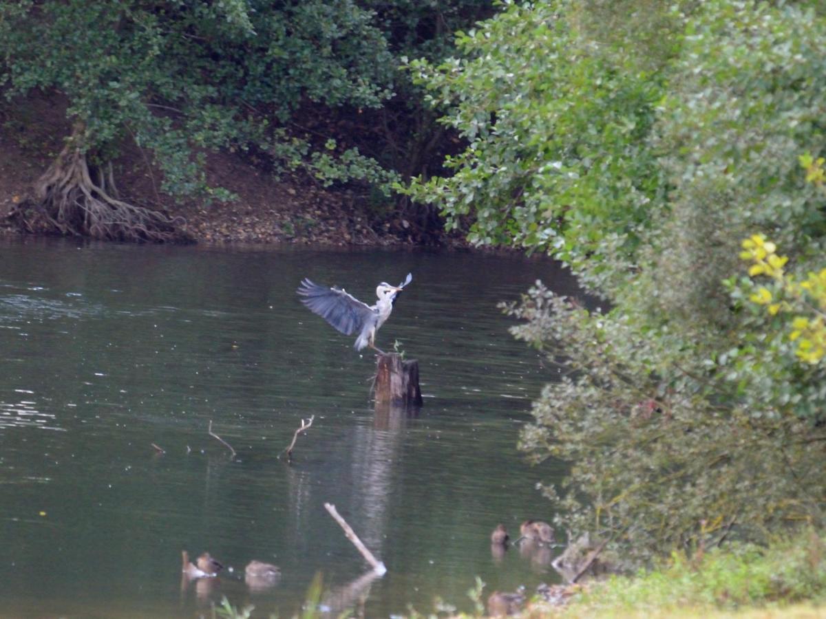 Villa La Ravine Montigny-sur-Loing Esterno foto